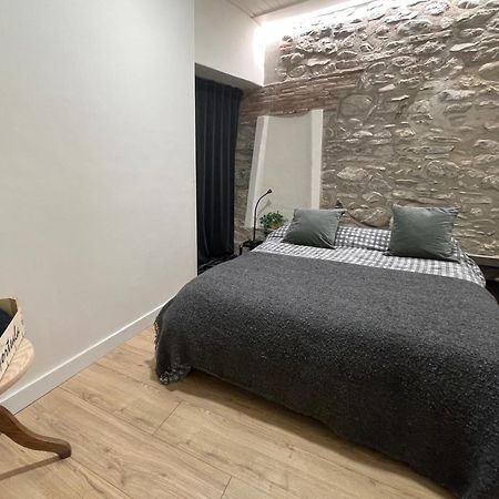 Apartamento Colgante Al Rio Con Vistas Al Puente Camprodon Ngoại thất bức ảnh